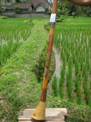 Didgeridoo Eukylaptus 2011-74 C 