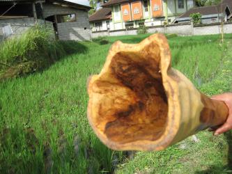 Didgeridoo Eukalyptus 2011-29 