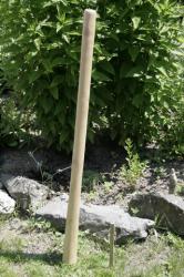 Didgeridoo Teak Natur unbemalt, geölt 