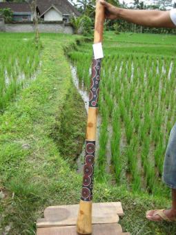 Didgeridoo Eukalyptus 2011-75 E 