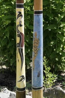 Didgeridoo Teak blau oder gelb 