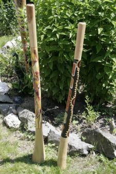 Didgeridoo Teakholz Gecko gelb Schlangenhaut 