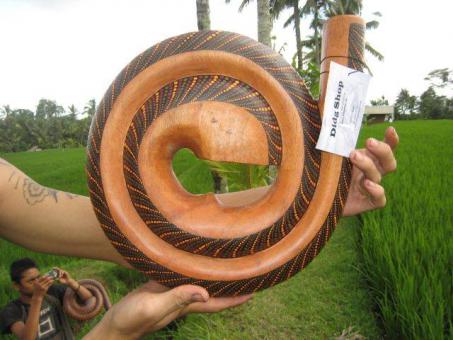 Spiralidoo Snail Didgeridoo Holz bemalt 