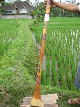Didgeridoo Eukalyptus 2011-87 