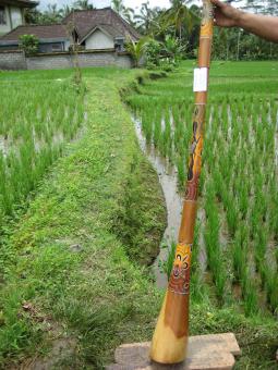 Didgeridoo Eukalyptus 2011-92 