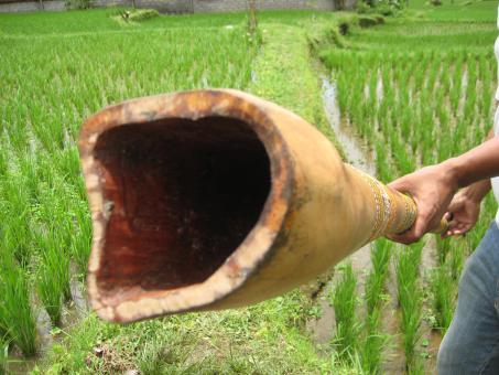 Didgeridoo Eukalyptus 2011-100 