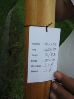Didgeridoo Eukalyptus 2011-103 