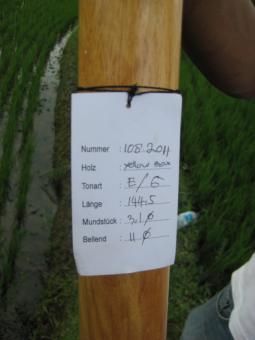 Didgeridoo Eukalyptus 2011-108 
