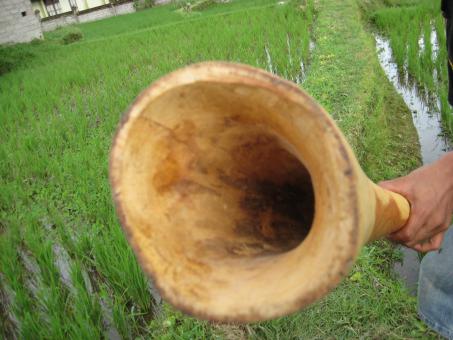 Didgeridoo Eukalyptus 2011-51 
