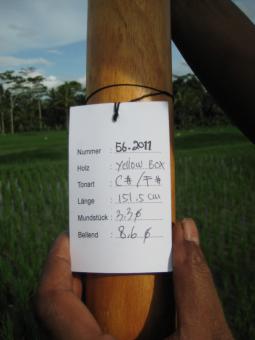 Didgeridoo Eukalyptus 2011-56 