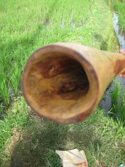 Didgeridoo Eukalyptus 2011-65 