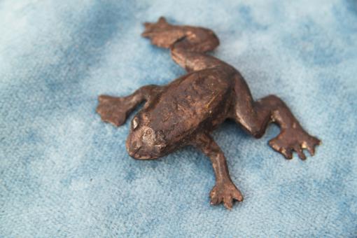 Frosch aus Bronze springend 9x7 cm 