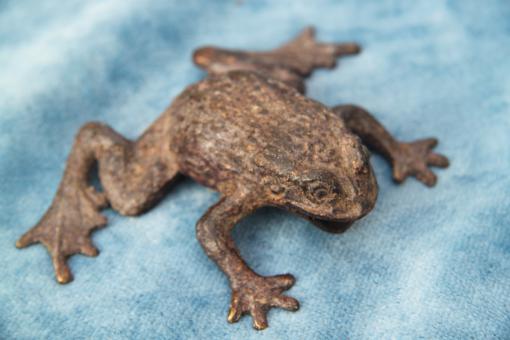 Frosch quakend Bronze 13 x 10 cm 